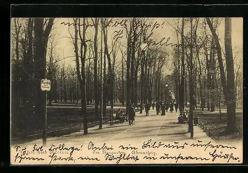 AK Berlin-Tiergarten, Im Tiergarten, Ahornsteig