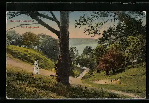 AK Berlin-Grunewald, Der Dachsgrund