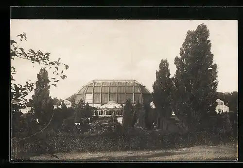 AK Berlin-Dahlem, Botanischer Garten, Italienischer Garten mit Schauhäusern