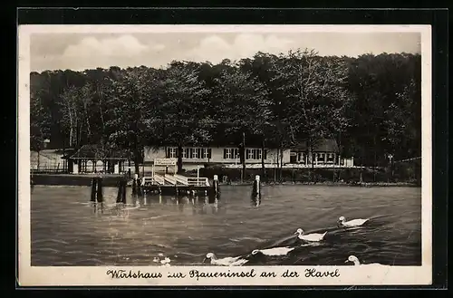 AK Berlin-Wannsee, Pfaueninsel, Wirtshaus zur Pfaueninsel, Inh. A. Prinz