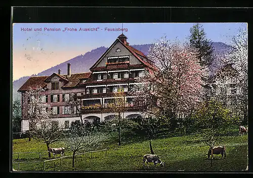 AK Feusisberg, Hotel und Pension Frohe Aussicht