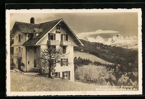 AK Haltenegg ob Thun, Pension Waldheim, Panorama