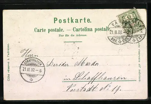 Lithographie Basel, Das Münster mit der Pfalz, St. Albanthor, Centralbahnhof, Denkmal der Stadt Strassburg