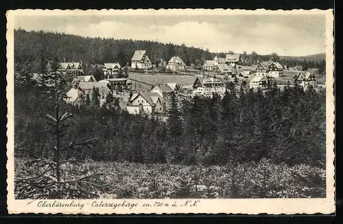 AK Landpoststempel Oberbärenburg über Dippoldiswalde