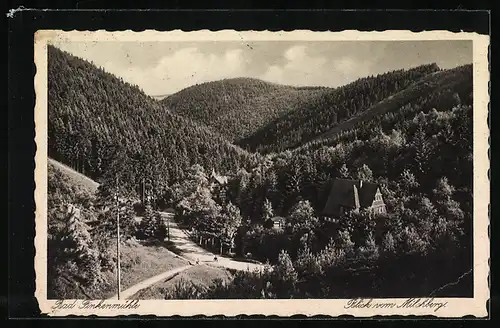 AK Landpoststempel Bad Finkenmühle /Königsee (Thüring.) Land