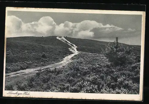 AK Landpoststempel Hohnebostel über Gifhorn