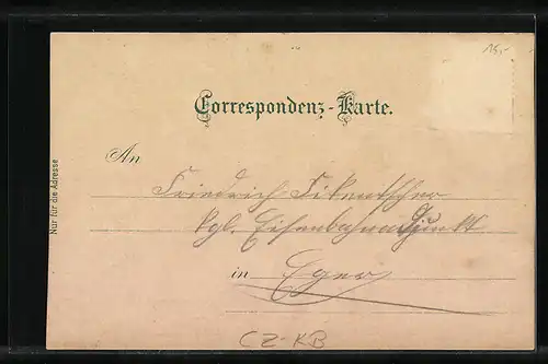 Lithographie Karlsbad, Sprudelcolonnade, Sprudel und Inneres