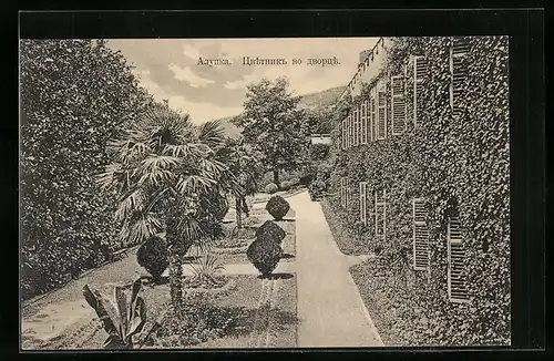 AK Alupka /Krim, Palmen im Garten, Efeu bewachsenes Haus