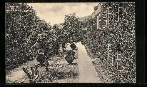 AK Alupka /Krim, Palmen im Garten eines Hauses