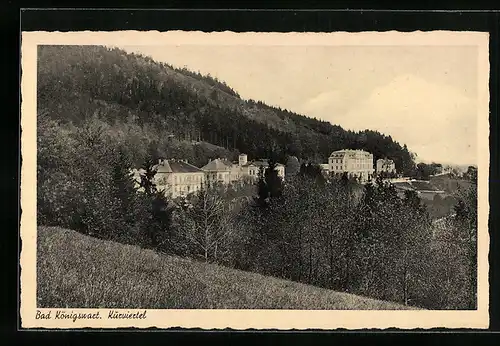 AK Bad Königswart, Blick auf das Kurviertel