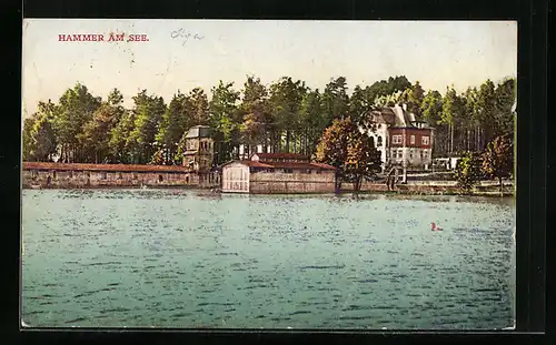 AK Hammer am See, Partie aus der Sommerfrische