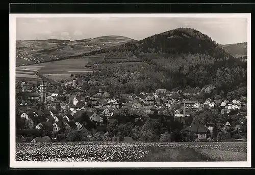 AK Graslitz /Sudetengau, Panorama der Musikstadt