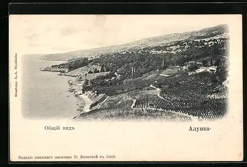 AK Alupka /Krim, Panorama der Ortschaft