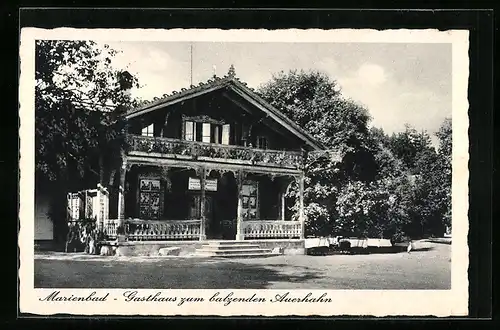 AK Marienbad, Gasthaus zum balzenden Auerhahn