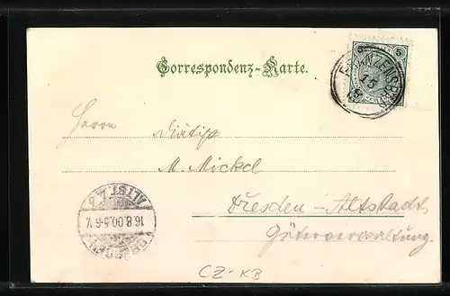 AK Franzensbad, Culmerstrasse mit Windsor