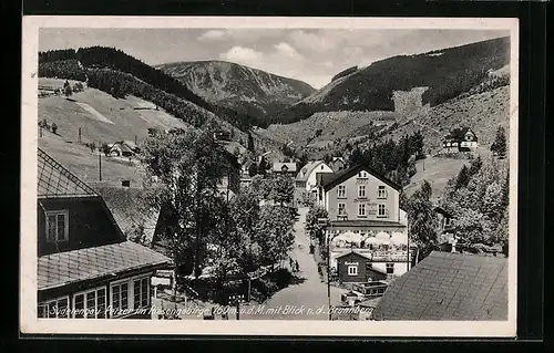 AK Petzer im Riesengebirge / Sudetengau, Teilansicht mit Berghotel und Blick n. d. Brunnberg