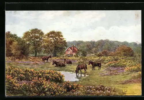 Künstler-AK A. R. Quinton: Lindhurst, New Forest Ponies