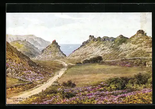 Künstler-AK A. R. Quinton: Lynton, Valley of Rocks