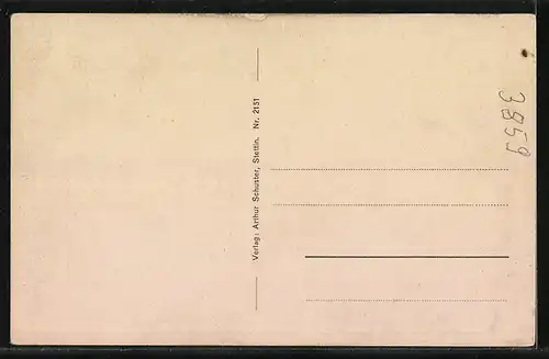 AK Salonschnelldampfer Odin in Fahrt