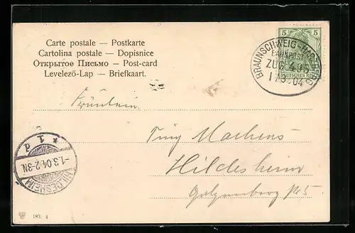 AK Bahnpoststempel Braunschweig-Harzburg, Zug 495