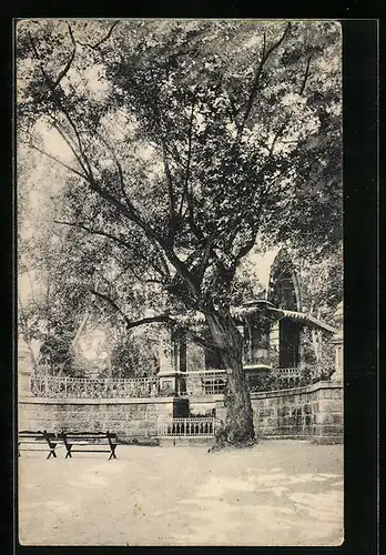 AK Kislowodsk, Park mit Pavillon