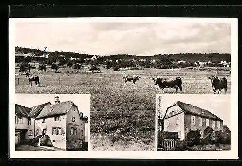 AK Rod am Berg /Ts., Gasthaus zum Taunus / Jugendheim, Ortspanorama mit Kühen