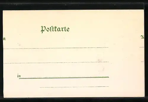 Lithographie Freiburg i. Br., Gesamtansicht, Münster, Schwarzwälderin, Markgräflerin, Kaufhaus