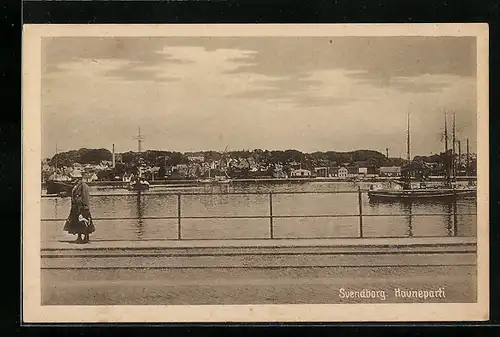 AK Svendborg, Hauneparti