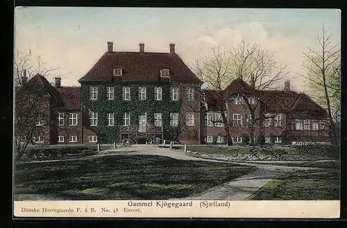 AK Gammel Kjögegaard /Sjaelland, Ansicht vom Schloss