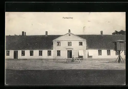 AK Falkenhoj, Herrenhaus /Landgut /Gehöft
