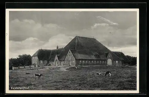 AK Vesteranflod, Gutshaus /Landgut /Gehöft