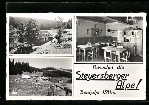 AK Kirchberg am Wechsel, Gasthaus Steyersberger Alpe, Aussen- und Innenansichten