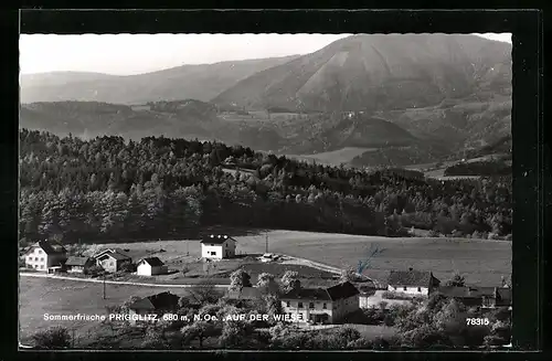 AK Prigglitz /N.-Oe., Auf der Weise