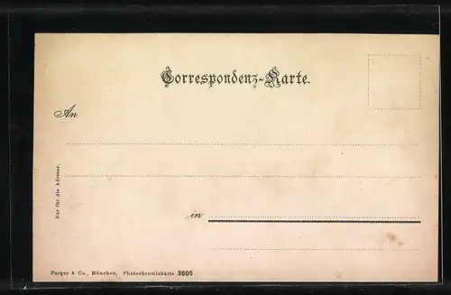 AK Schruns /Montavon, Teilansicht mit Bergen