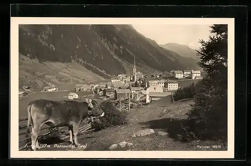 AK Ischgl /Paznauntal, Teilansicht mit Kuh