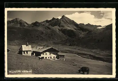 AK Kühtai, Alpengasthof mit weidenden Kühen