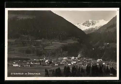 AK Steinfeld im Drautal, Teilansicht mit Bergen