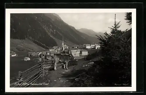 AK Ischgl /Paznauntal, Teilansicht mit einer Kuh