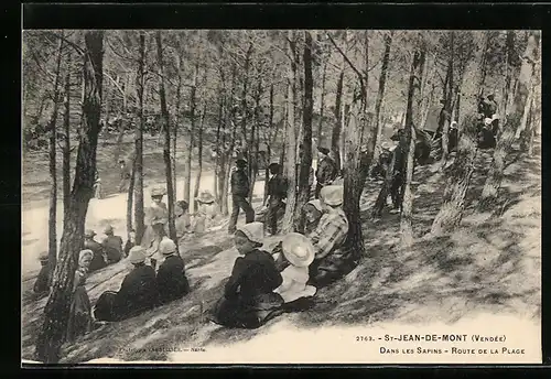 AK St-Jean-de-Mont, Dans les Sapins, Route de la Plage