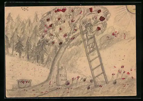 Künstler-AK Handgemalt: Mann erntet auf einer Leiter stehend die Früchte vom Baum