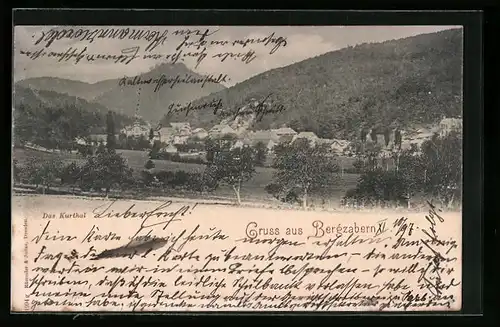 AK Bergzabern, Generalansicht der Ortschaft