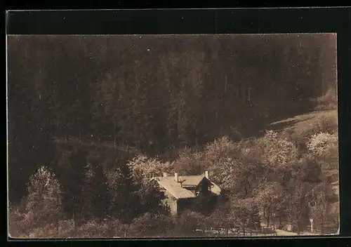 AK Iserlohn im Sauerland, Waldpartie am Forsthaus Löhen