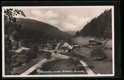 AK Wildbad bei Herrenalb im Schwarzwald, an der Eyachmühle