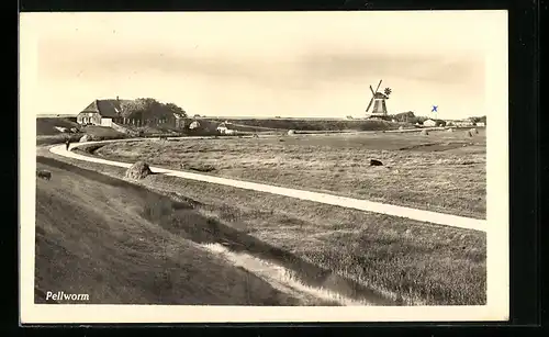 AK Pellworm, Blick von der Düne zur Windmühle