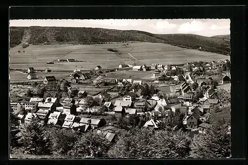 AK Willingen b. Waldeck, Generalansicht der Stadt