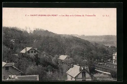 AK Saint-Pierre-en-Port, les Bois et le Chateau de Trémouville