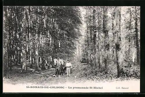 AK St-Romain-de-Colbosc, la promenade St-Michel