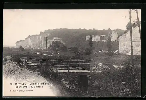 AK Tancarville, Vue des Falaises et ensemble du Chateau