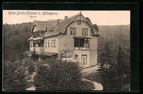 AK Hohegeiss, Blick auf Hotel Dicke Tannen