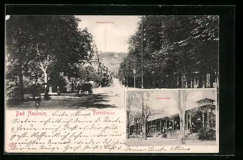 AK Bad Nauheim, Parkstrasse mit Johannisberg im Hintergrund, Colonade